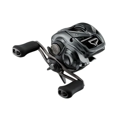 Abbildung von Daiwa 24 Tatula SV TW 100L Baitcaster Rolle Multirolle