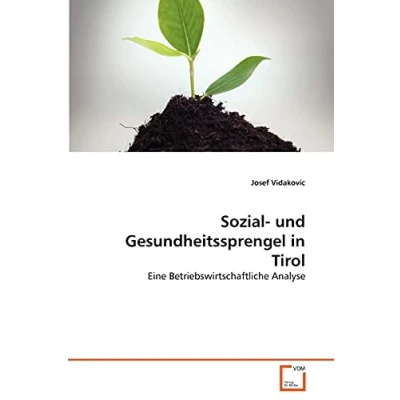 Abbildung von Sozial und Gesundheitssprengel in Tirol: Eine Betriebswirtschaftliche Analyse