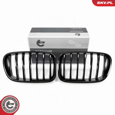 Abbildung von ESEN SKV 66SKV248 Kühlergrill schwarz, glänzend BMW: X3, X4