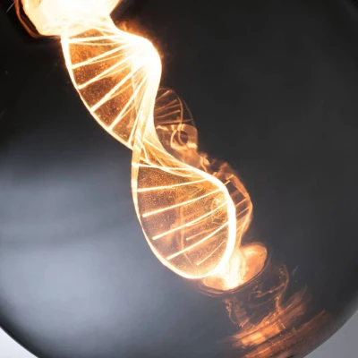 Abbildung von Paulmann LED Leuchtmittel G125 Inner Glow Helix 90lm smoke 1800K, 1 St.