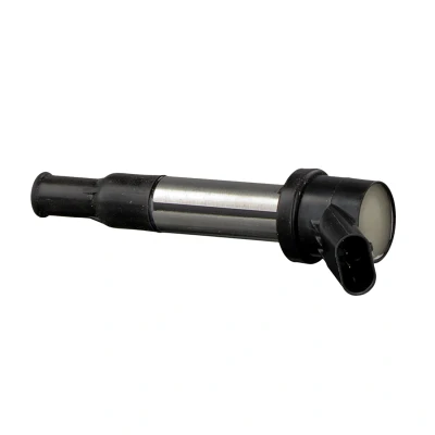 Abbildung von FEBI BILSTEIN 33647 Zündspule schwarz
