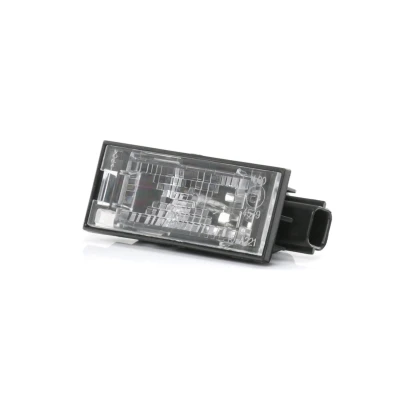 Abbildung von TYC 15 0221 00 2 Kennzeichenleuchte W5W beidseitig mit Glühlampe RENAULT: CLIO 3, TWINGO 2, MEGANE 3 Grandtour, OPEL: Movano B Kastenwagen kfzteile,