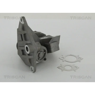 Abbildung von TRISCAN 8813 29047 AGR Ventil elektrisch mit Dichtungen VOLKSWAGEN: Passat B6 Variant, Touran I, Golf 5 Schrägheck, AUDI: A3 Sportback