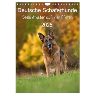 Abbildung von Deutsche Schäferhunde Seelentröster auf vier Pfoten (Wandkalender 2025 DIN A4 hoch), CALVENDO Monatskalender