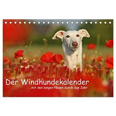 Abbildung von Der Windhundekalender (Tischkalender 2025 DIN A5 quer), CALVENDO Monatskalender