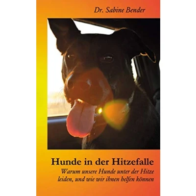 Abbildung von Hunde in der Hitzefalle: Warum unsere unter Hitze leiden, und wie wir ihnen helfen können