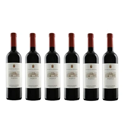 Abbildung von 6x 0,75l Guerrieri Rizzardi Pojega Ripasso Valpolicella Classico Superiore D.O.P. Veneto Italien Rotwein trocken