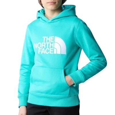 Abbildung von THE NORTH FACE Drew Peak Kapuzenpullover Geyser Aqua 152