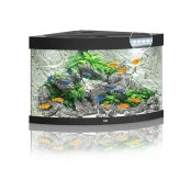 Abbildung von Juwel Aquarium Trigon 190 Led 70x70x60 cm Aquarien Schwarz Ca. 190...
