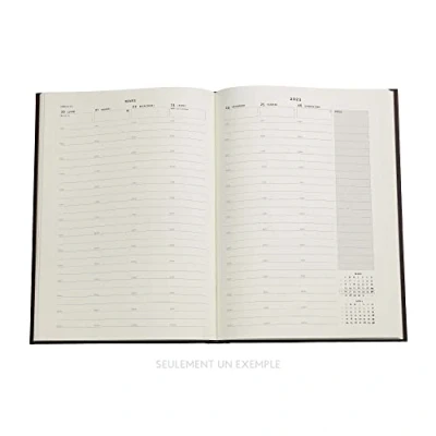 Abbildung von Paperblanks Terminplaner 12 Monate 2023 Terrene Vertikal Midi (130 x 180 mm)