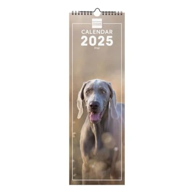 Abbildung von Finocam Bebilderter Wandkalender Spiralbindung 15x48 International 2025 Monatsansicht Januar bis Dezember (12 Monate) Dogs