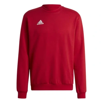 Abbildung von adidas Performance Entrada Sweatshirt, Herren, Größe: 3XL, Tepore