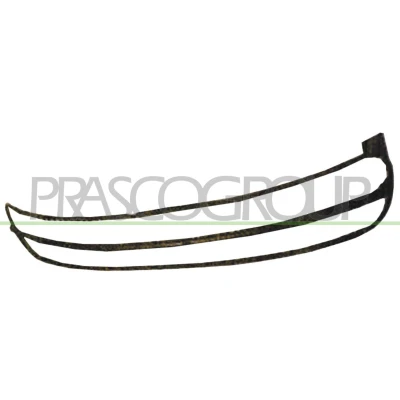 Abbildung von PRASCO VG4202305 Rahmen, Kühlergitter