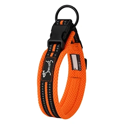 Abbildung von PETTOM Hundehalsband Verstellbare Nylon Hunde Halsband Atmungsaktives Reflektierend (Orange XS)