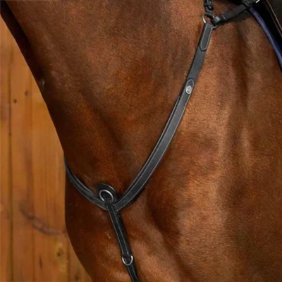 Abbildung von Dyon Martingal Breastplate Schwarz Vollblut