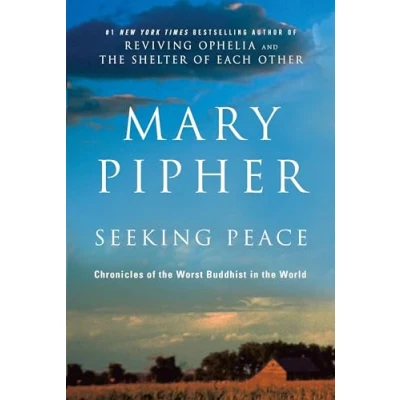 Abbildung von Seeking Peace: Chronicles of the Worst Buddhist in World