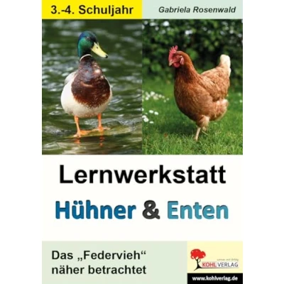Abbildung von Lernwerkstatt Hühner &amp; Enten / Grundschule: Das &quot;Federvieh&quot; näher betrachtet