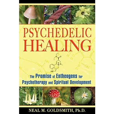 Abbildung von Psychedelic Healing: The Promise of Entheogens for Psychotherapy and Spiritual Development