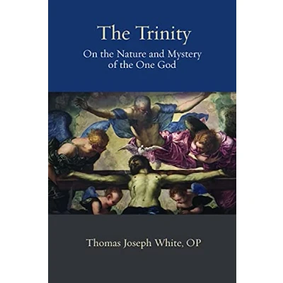 Abbildung von the Trinity: On Nature and Mystery Ofthe One God (Thomistic Ressourcement, 19)