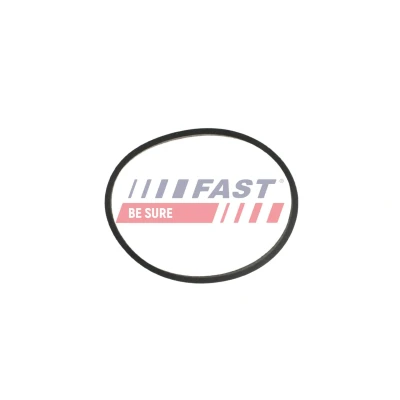 Abbildung von FAST FT49470 Auspuffkrümmerdichtung mit Hitzeschutzblech FORD: FIESTA 6, FOCUS 3, Tourneo Connect / Grand V408 Kombi