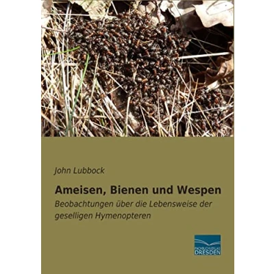 Abbildung von Ameisen, Bienen und Wespen: Beobachtungen über die Lebensweise der geselligen Hymenopteren