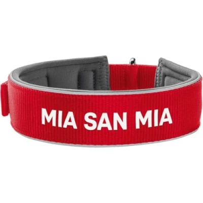 Abbildung von Hunter Tierbedarf Hunde Halsband Neopren Reflect FC Bayern München rot/grau