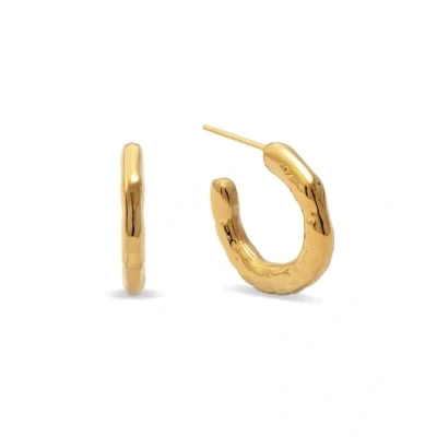 Abbildung von Singularu Ohrringe goldcoloured, Damen, Größe: One Size, Gold/coloured