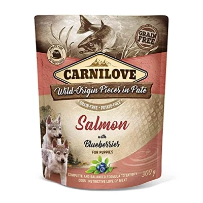 Abbildung von Brit 8595602537730, Welpe, Lachs, 300 g