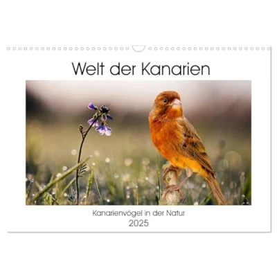 Abbildung von Welt der Kanarien (Wandkalender 2025 DIN A3 quer), CALVENDO Monatskalender