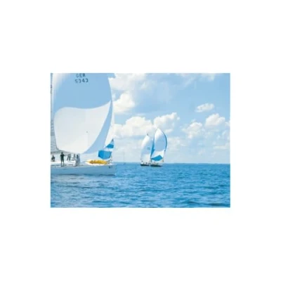 Abbildung von PSP Spinnaker Repair Tape 50mm x 4.5m Sea Green