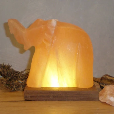 Abbildung von HIMALAYA SALT DREAMS Salzkristall Tischlampe Elefant, LED wechselbar, Warmweiß, Handgefertigt aus jeder Stein ein Unikat, H: ca.11 cm