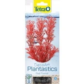 Abbildung von Pflanze TETRA Fuchsschwanz Rot S.