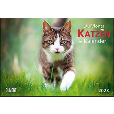 Abbildung von DUMONTS Katzenkalender 2023 Broschürenkalender Wandkalender mit Schulferienterminen Format 42 x 29 cm