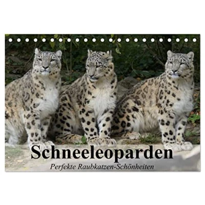 Abbildung von Schneeleoparden. Perfekte Raubkatzen Schönheiten (Tischkalender 2025 DIN A5 quer), CALVENDO Monatskalender