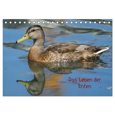 Abbildung von Das Leben der Enten (Tischkalender 2025 DIN A5 quer), CALVENDO Monatskalender
