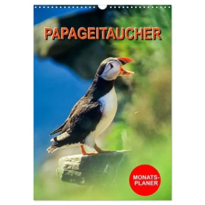 Abbildung von Papageitaucher Monatsplaner (Wandkalender 2025 DIN A3 hoch), CALVENDO Monatskalender