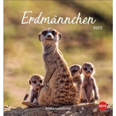 Abbildung von Erdmännchen Postkartenkalender 2025: Jeden Monat eine süße Postkarte. Fotokalender für Tierfreunde. Kleiner Tischkalender zum Aufstellen und Aufhängen im Postkartenformat. (Postkartenkalender Heye)