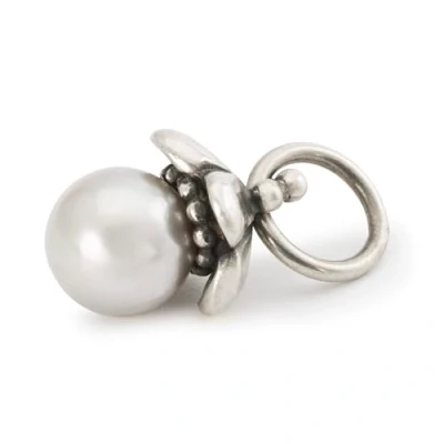 Abbildung von Trollbeads Frühlings Kollektion Blühende Verbindungen 2024 Silberbeads (Perlen der Hingabe TAGBE 00307)