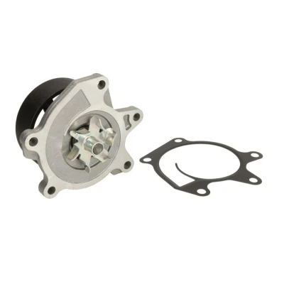 Abbildung von Saleri SIL PA1639 Wasserpumpe mechanisch NISSAN: Qashqai 2, X Trail, Juke, RENAULT: Megane 4 Grandtour, Clio Schrägheck, Espace 5