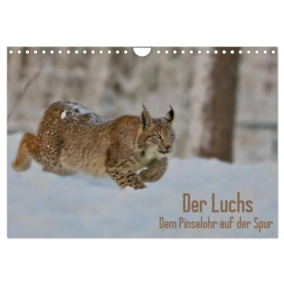 Abbildung von der Luchs Dem Pinselohr auf Spur (Wandkalender 2025 DIN A4 quer), CALVENDO Monatskalender: Wundervolle und abwechslungsreiche Fotos des ... von Stefan Rosengarten (CALVENDO Tiere)