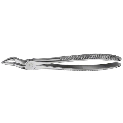 Abbildung von ANATOMICA Zahnzange Figur 51 A OK Wurzeln