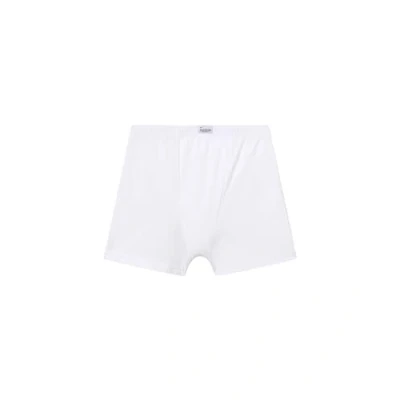 Abbildung von abanderado Jungen Junior Algodón Elástico Boxershorts, Weiß (Blanco 001), Jahre (Herstellergröße: 12)