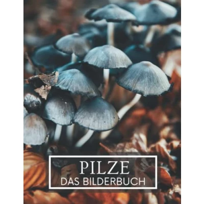 Abbildung von Pilze: Das Bilderbuch der wunderbaren Pilze für Senioren, Parkinson, Demenz Erwachsene mit Alzheimer, und Patienten zu helfen, Gedächtnisverlust.