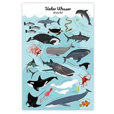 Abbildung von Meerestiere Poster Unter Wasser ist was los! (61cm x 91,5cm)