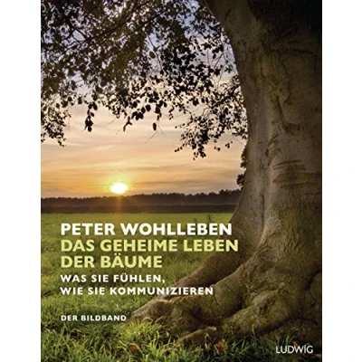 Abbildung von Das geheime Leben der Bäume: Was sie fühlen, wie kommunizieren. Bildband. Mit dem vollständigen Text Originalausgabe