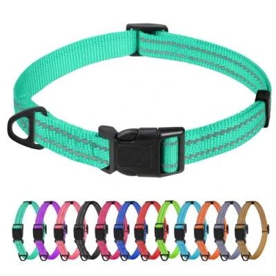 Abbildung von TagME Nylon Hundehalsband, Verstellbares Reflektierendes Hundehalsband mit Sicherheitsschnalle für Extra Kleine Hund, Türkis, 1.5cm Breite