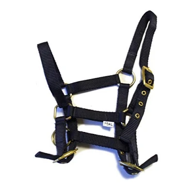 Abbildung von Rhinegold 0 Nylon Foal Headcollar Navy Halfter für Fohlen, Einheitsgröße