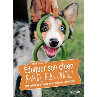 Abbildung von Éduquer son chien par le jeu Une méthode efficace pour renforcer la relation