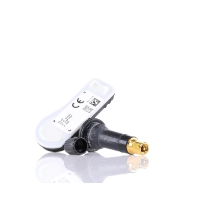 Abbildung von SCHRADER 3041 Radsensor, Reifendruck Kontrollsystem mit Schraube RENAULT: Trafic 3 Bus, Twingo Schrägheck, DACIA: Duster SUV, Lodgy
