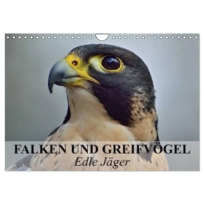 Abbildung von Falken und Greifvögel. Edle Jäger (Wandkalender 2025 DIN A4 quer), CALVENDO Monatskalender